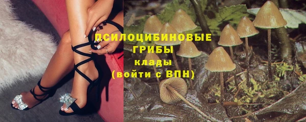 бошки Гусиноозёрск