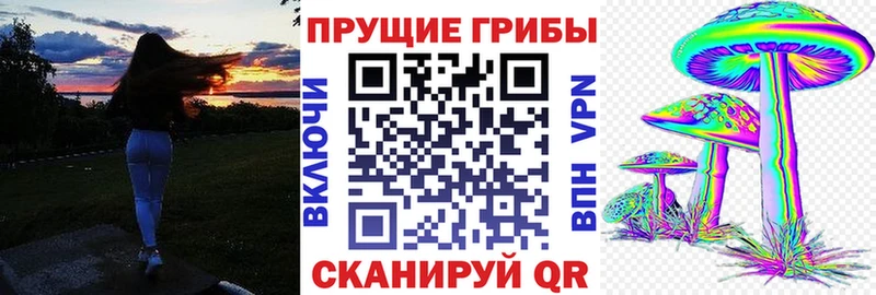как найти закладки  Черняховск  Псилоцибиновые грибы Cubensis 